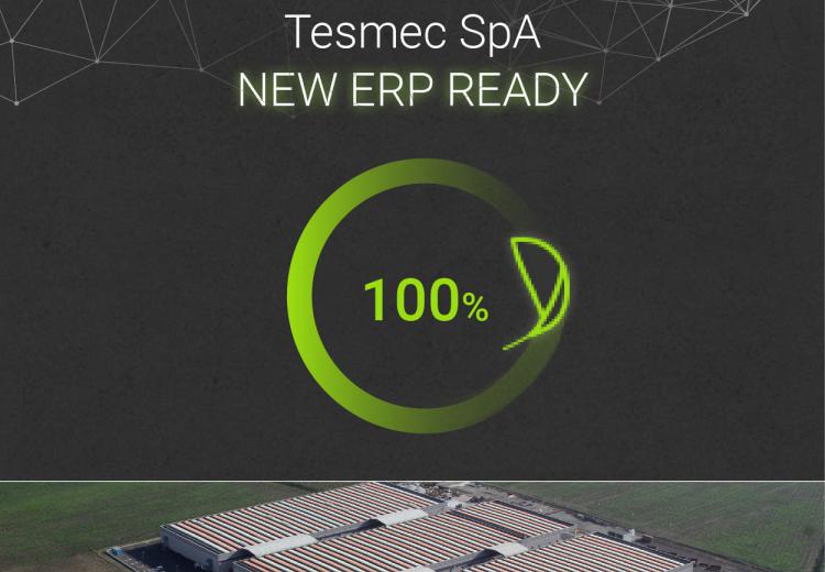 Tesmec ERP disponible